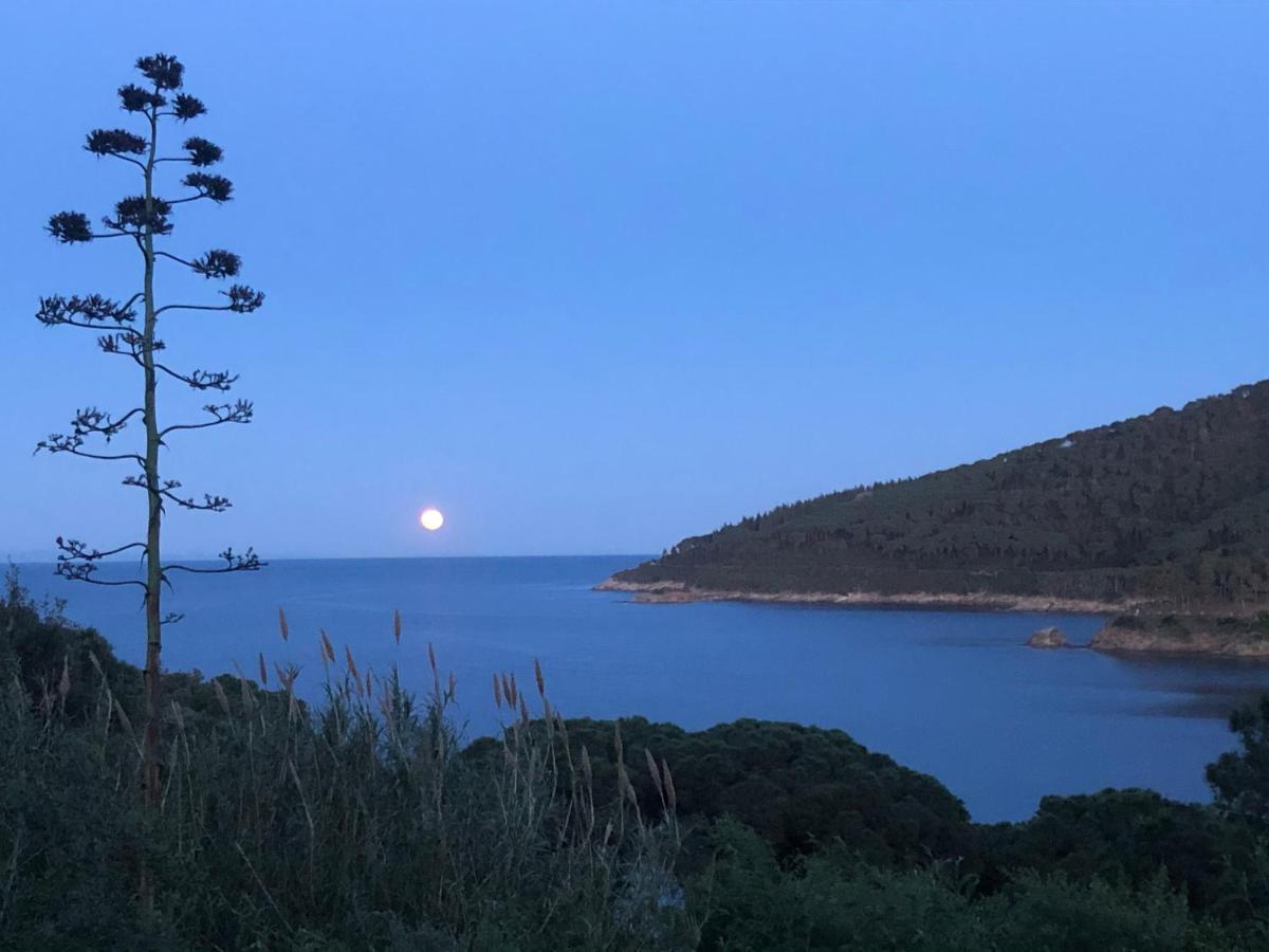 Case Dei Limoni Sul Mare Capoliveri  Exterior foto