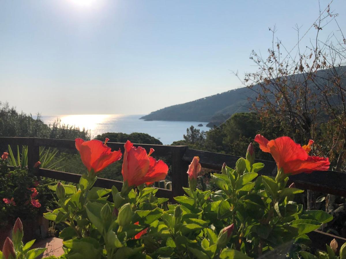Case Dei Limoni Sul Mare Capoliveri  Exterior foto